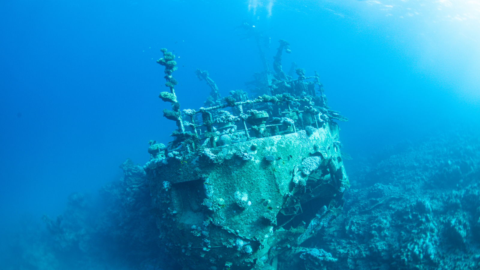 King Cruiser Wreck